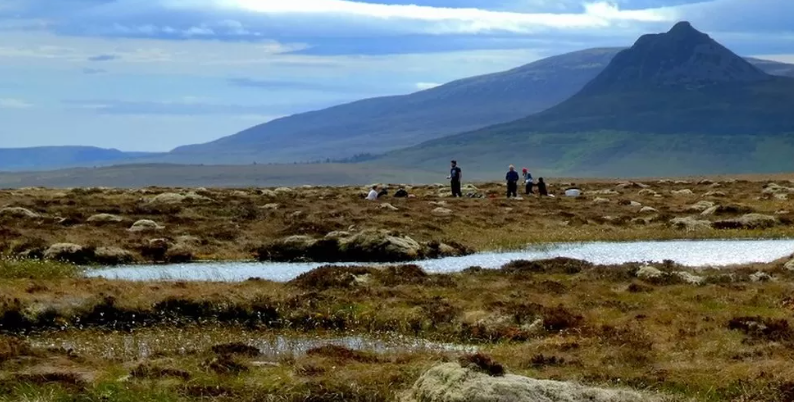 The ‘enigmatic’ peatbog seeking worldwide recognition