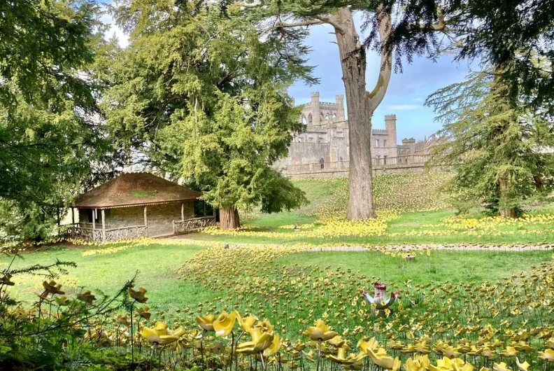 Lowther Castle 15,000 ceramic daffodils installation open