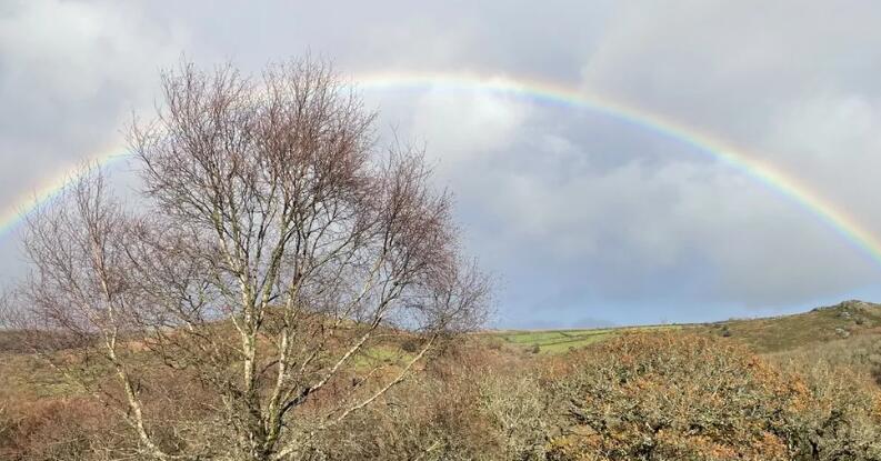 England to get new national park as part of nature plan